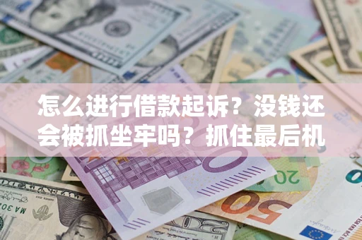 武汉怎么进行借款起诉？没钱还会被抓坐牢吗？抓住最后机会！