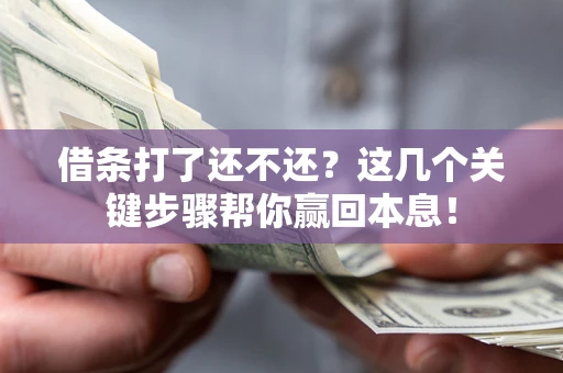 武汉借条打了还不还？这几个关键步骤帮你赢回本息！