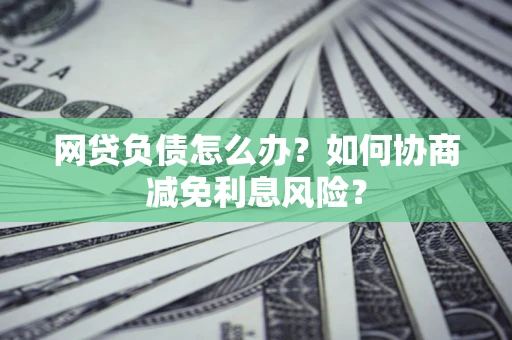 武汉网贷负债怎么办？如何协商减免利息风险？