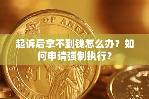 武汉起诉后拿不到钱怎么办？如何申请强制执行？
