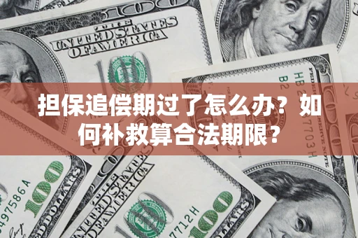武汉担保追偿期过了怎么办？如何补救算合法期限？