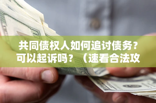 武汉共同债权人如何追讨债务？可以起诉吗？（速看合法攻略）